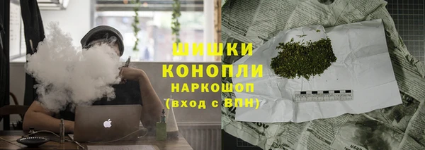 ПСИЛОЦИБИНОВЫЕ ГРИБЫ Алексин