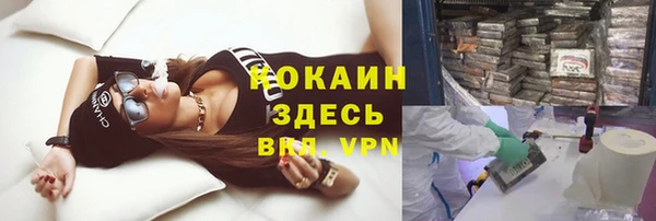 ПСИЛОЦИБИНОВЫЕ ГРИБЫ Алексин